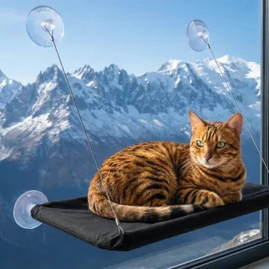 Char sur panier mural ventouses noir