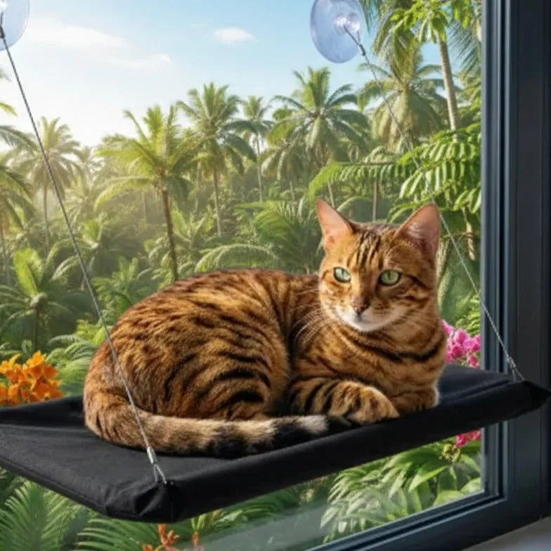 Chat sur panier mural ventouses noir tropical