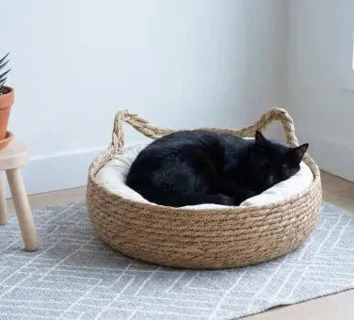 Chat sur panier osier sans ficelle