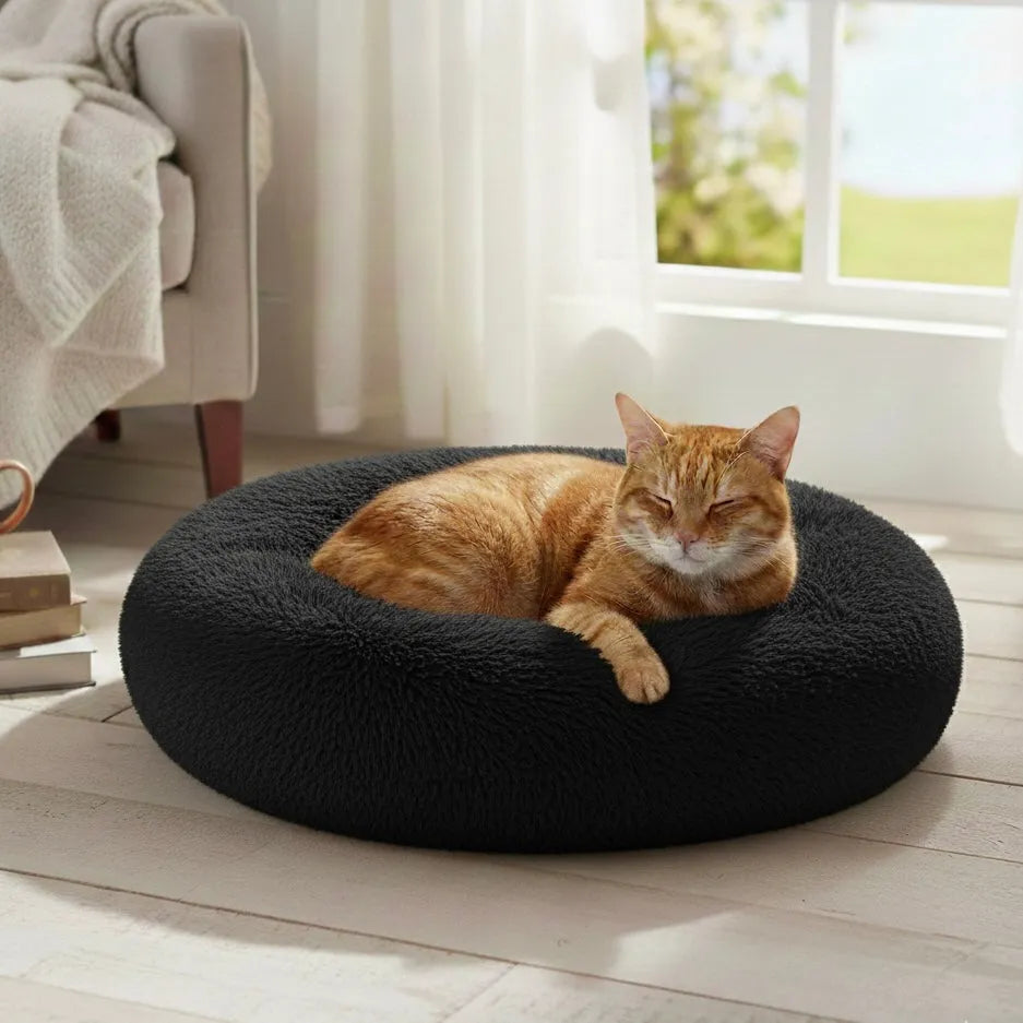 Chat sur panier rond noir