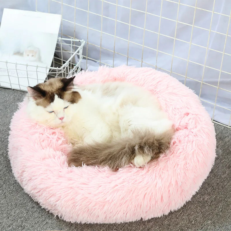 Chat sur panier rond rose