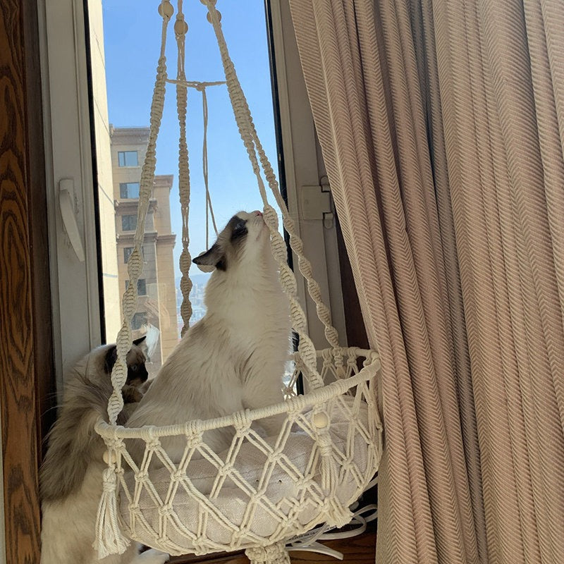 Chat sur panier suspendu en cordage 