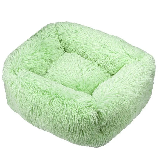 Coussin chat ovale vert