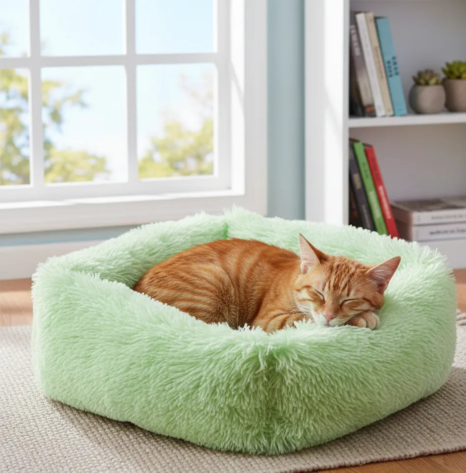 Coussin vert pour chat ovale avec un chat dessus