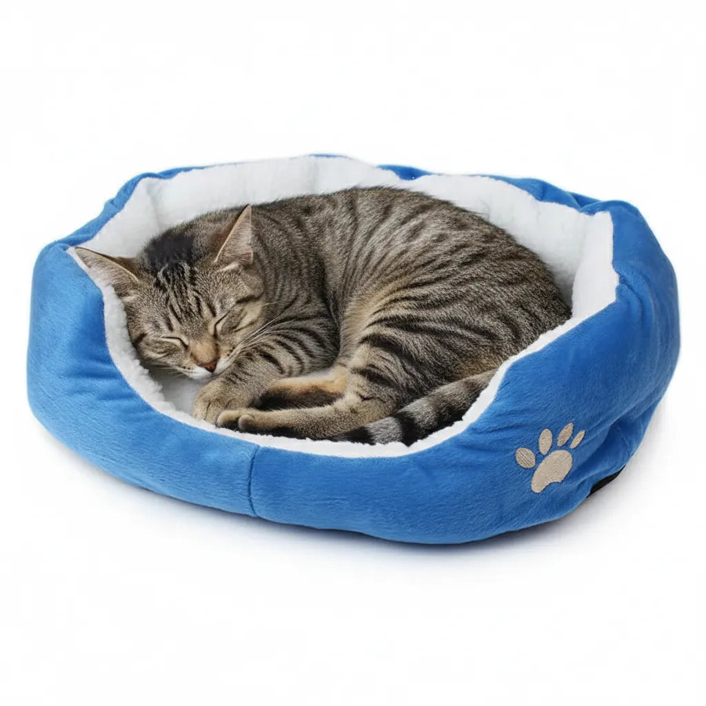Coussin doux pour chat bleu avec un chat dessus