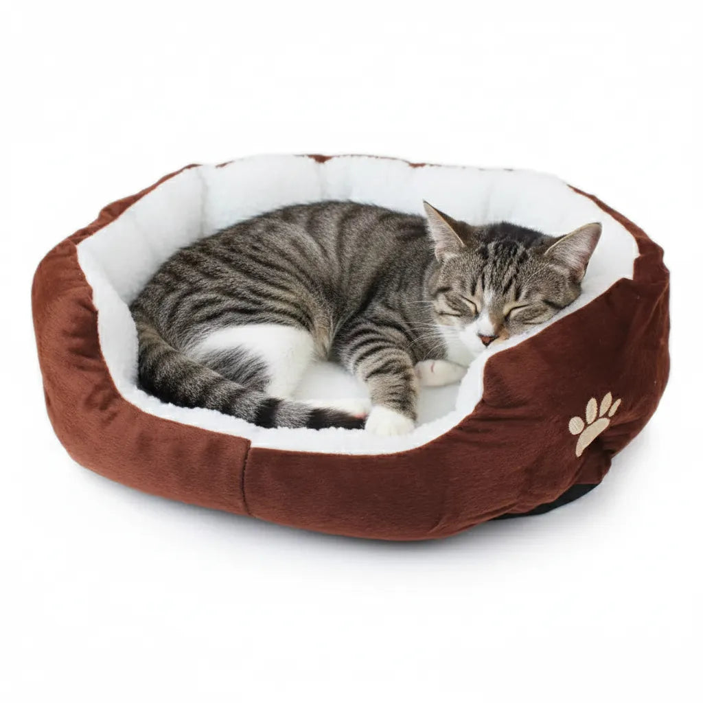 Coussin doux chat marron avec chat