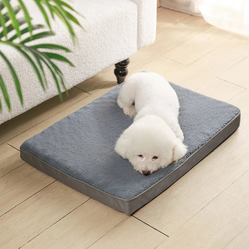 Coussin matelas chauffant gris avec un chat dessus