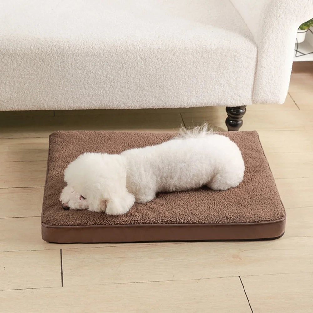 Coussin matelas chauffant marron avec un chat dessus