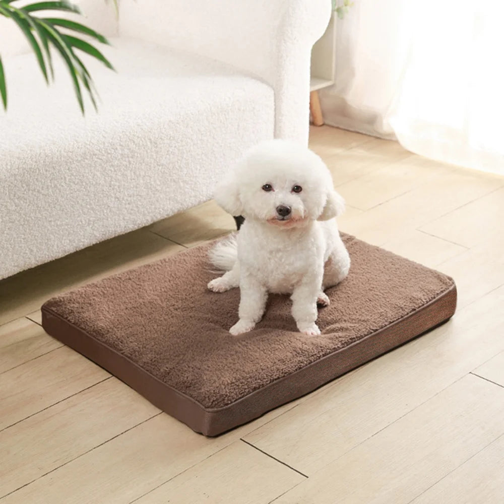 Coussin matelas chauffant marron avec un chat debout