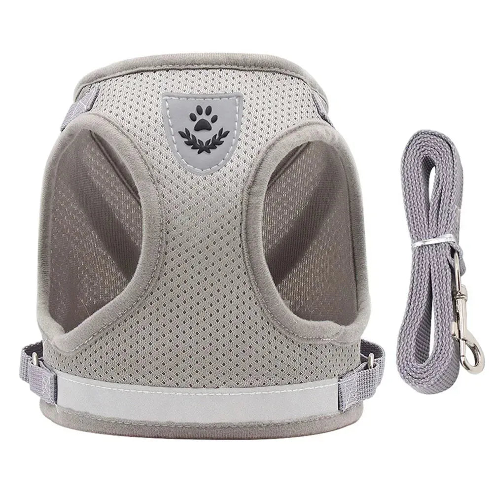  Harnais chat compact gris