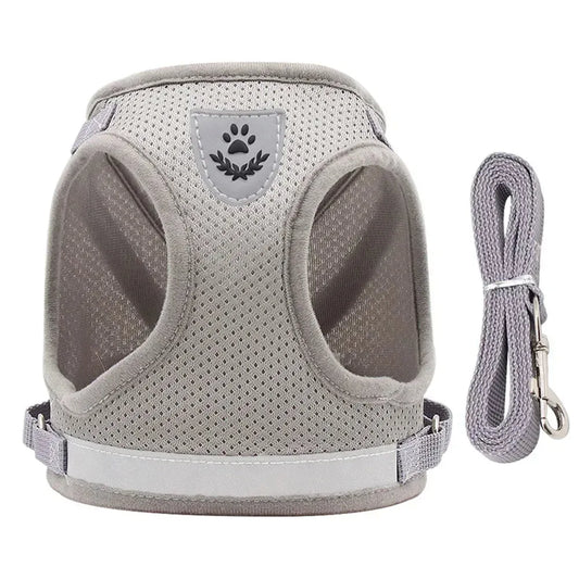  Harnais chat compact gris