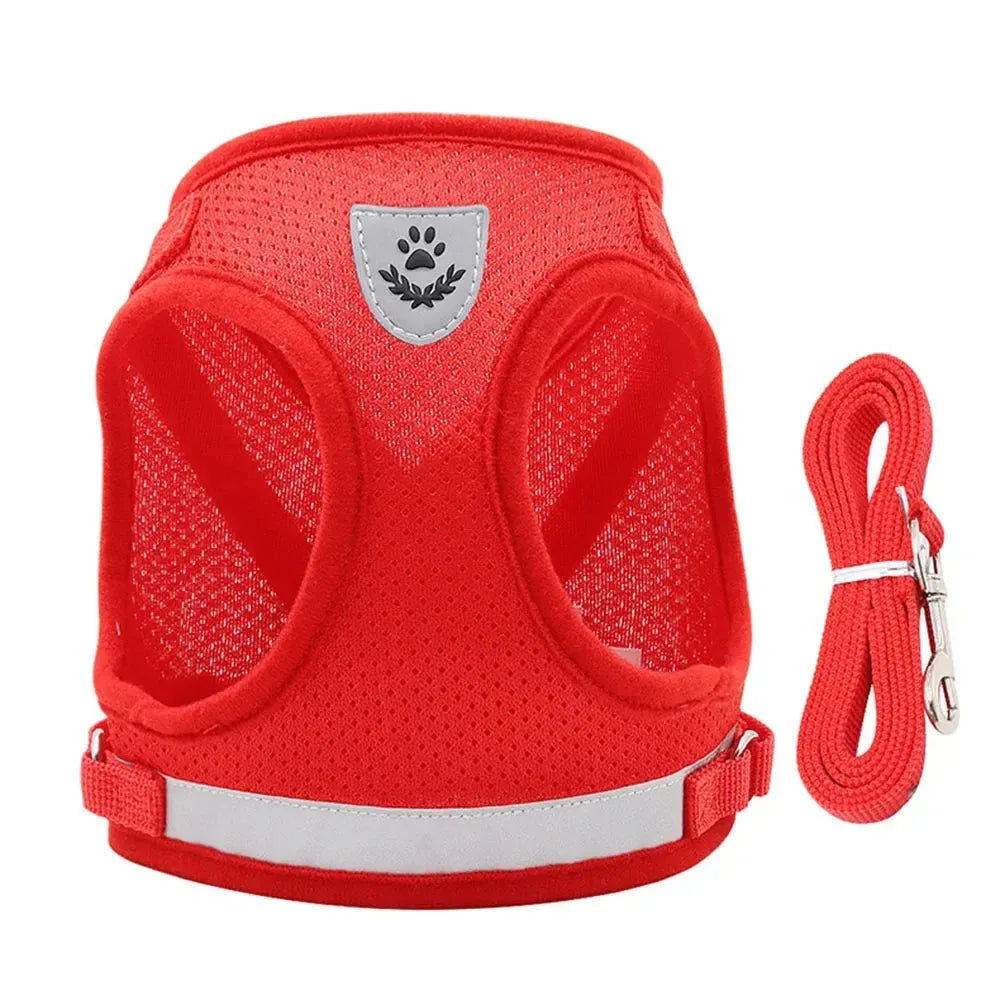 Harnais chat compact rouge 