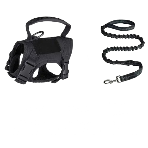 Harnais chat couleur noir