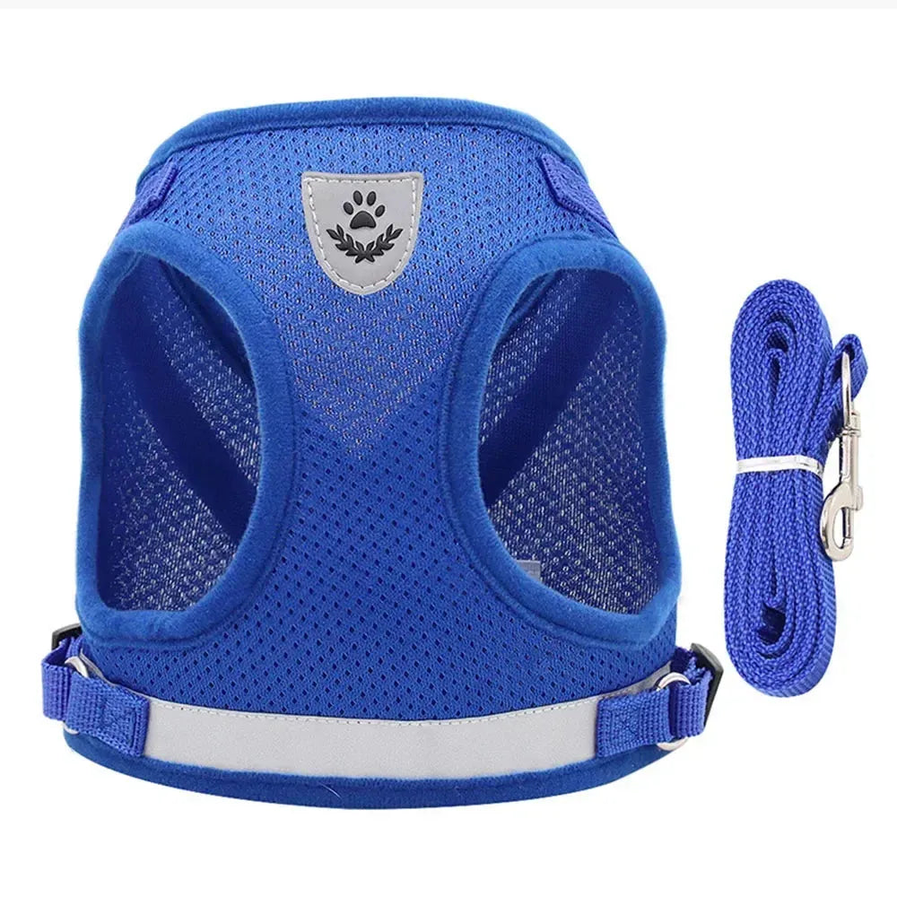 Harnais compact pour chat bleu