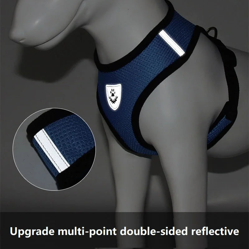 Harnais réfléchissant bleu