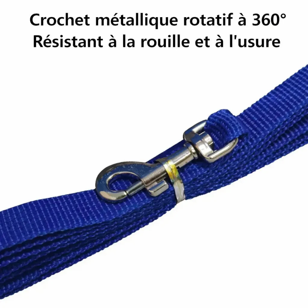 Information sur le crocher de l’harnais compact chat bleu