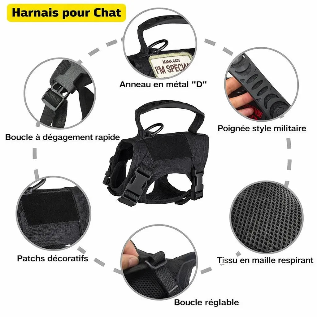 Informations harnais chat noir