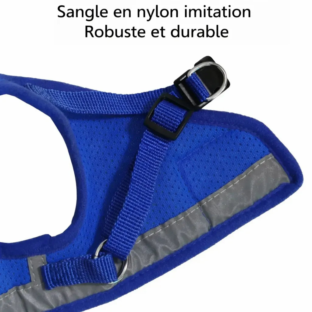 Information sur la sangle du harnais chat compact bleu