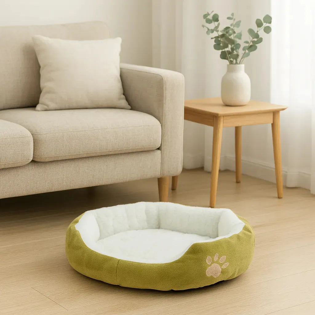 Coussin vert pour chat dans un salon