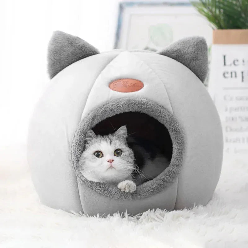 Maisonnette pour chat avec un chat a l'intérieur